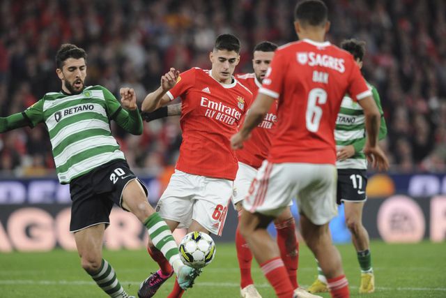 Novo Estádio da Luz: como está o saldo dos resultados em dérbis