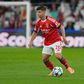 Dahl, lateral-esquerdo do Benfica - Foto Imago