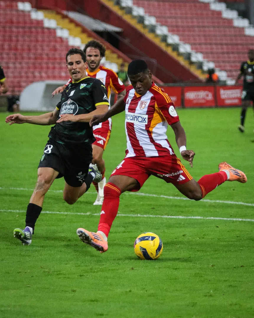 Aves em queda livre! Drama total