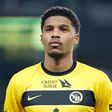 Atenção, Sporting: Jogador do Young Boys a caminho do Frankfurt