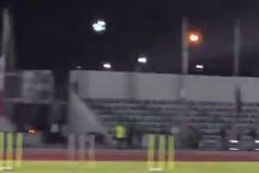 Taremi mimou pequeno invasor