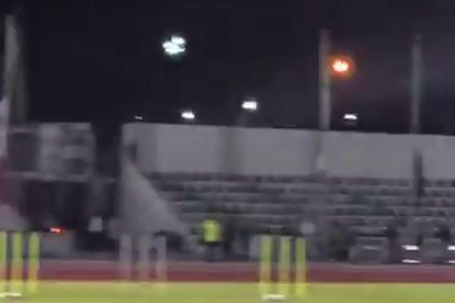 Taremi mimou pequeno invasor