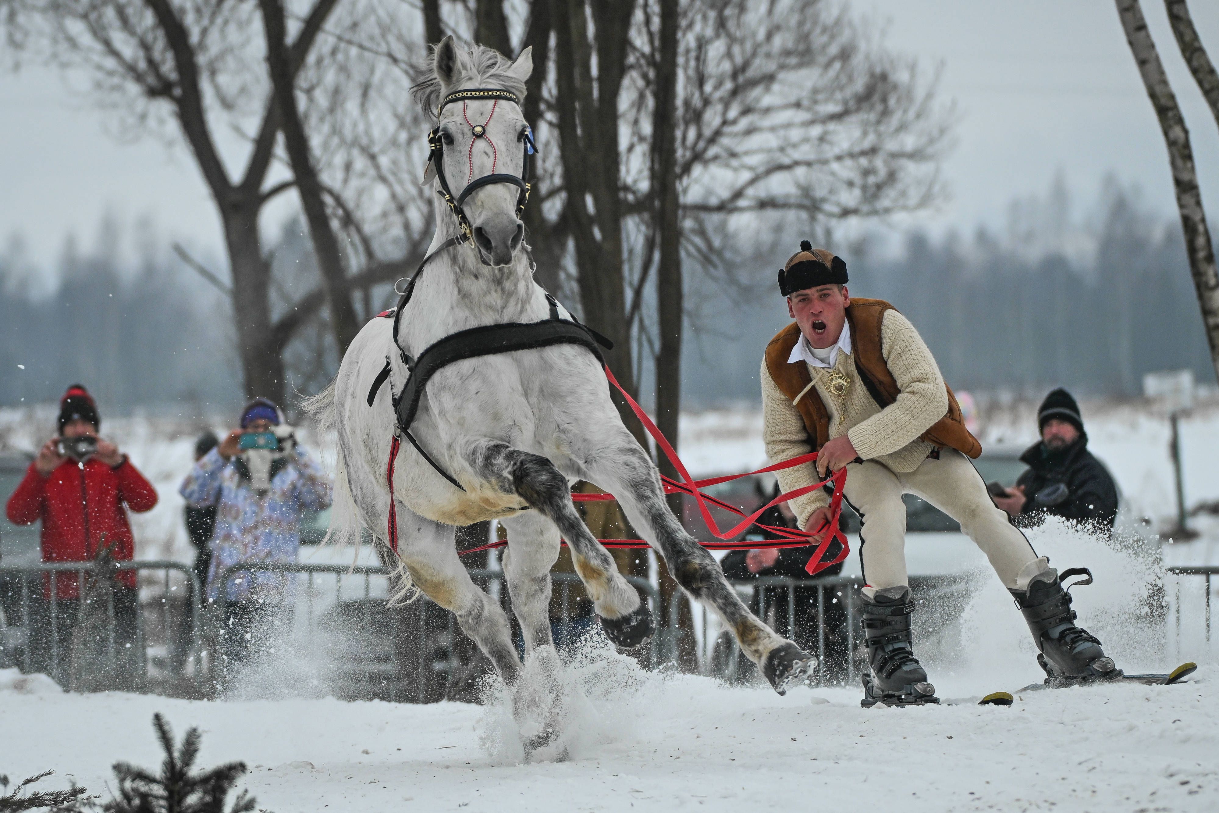 Skijoring - Foto: IMAGO