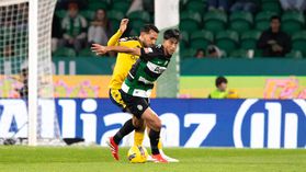 Sporting: Felicíssimo dá continuidade ao ADN 'made in' Montijo
