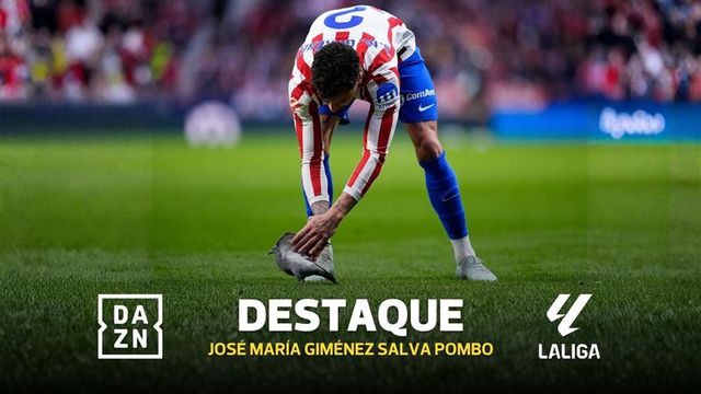 Atlético Madrid-Real Sociedad interrompido por causa de... um pombo