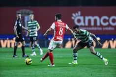 «A fadiga mental foi evidente na equipa do Sporting»