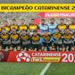 Criciúma, com ex-Sporting, sagra-se bicampeão catarinense