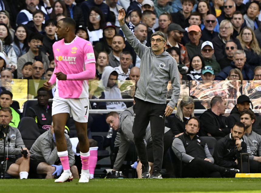 Ivan Juric durante do jogo do Southampton com o Tottenham