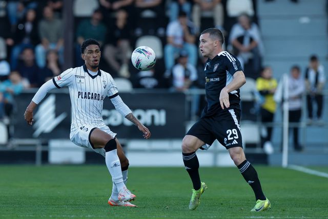 Leão não caçou o ganso e continua a ver Aves à distância