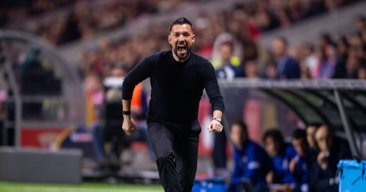 O estofo do campeão