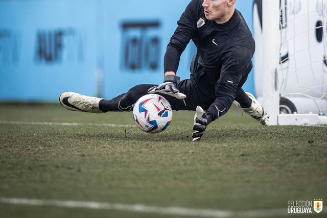 Franco Israel a 100 por cento (veja as imagens)