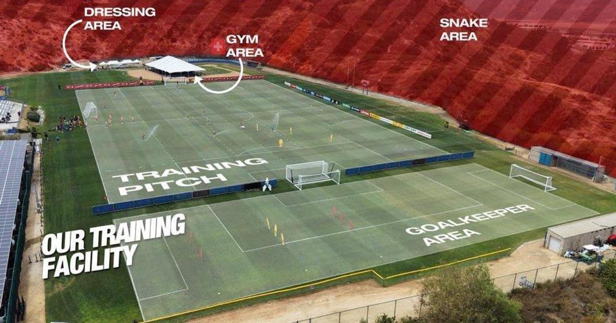 Mundial 2026: Suíça treina rodeada de cobras na Califórnia