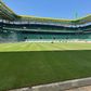 Estádio dos leões tem novo tapete verde