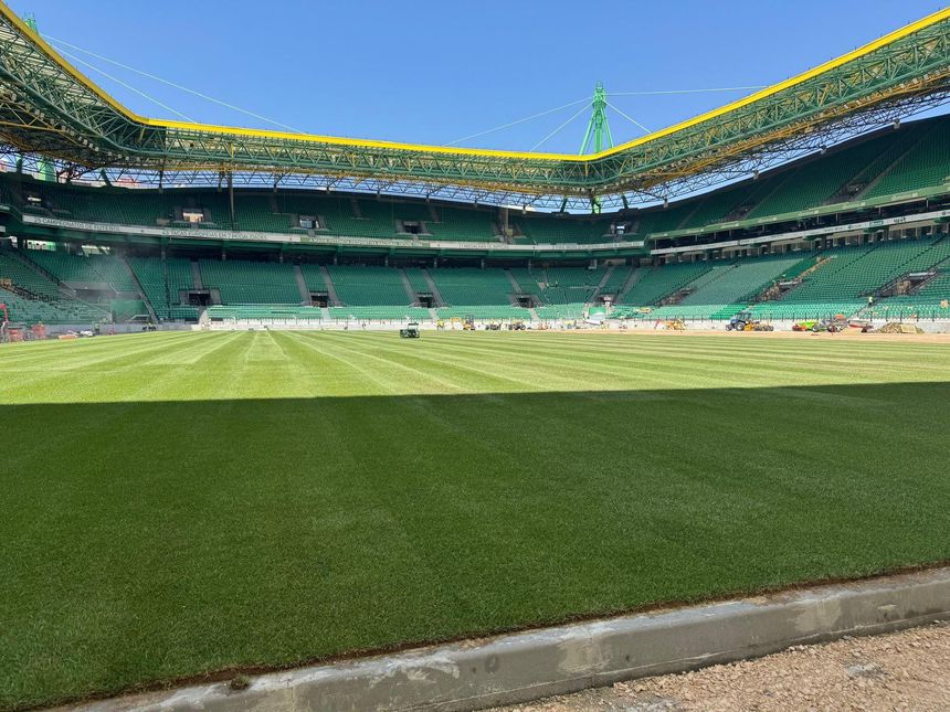 Estádio dos leões tem novo tapete verde