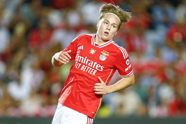 Quanto custaram os nórdicos do Benfica