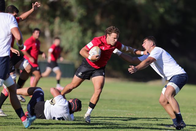 Vice-presidente da Federação eleito para o organismo que tutela o râguebi na Europa