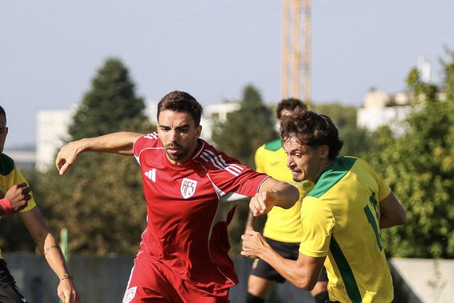 Aves SAD: Energias renovadas para atacar a primeira vitória da época