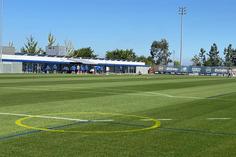 Treino do FC Porto no Olival na véspera da partida com o Man. City