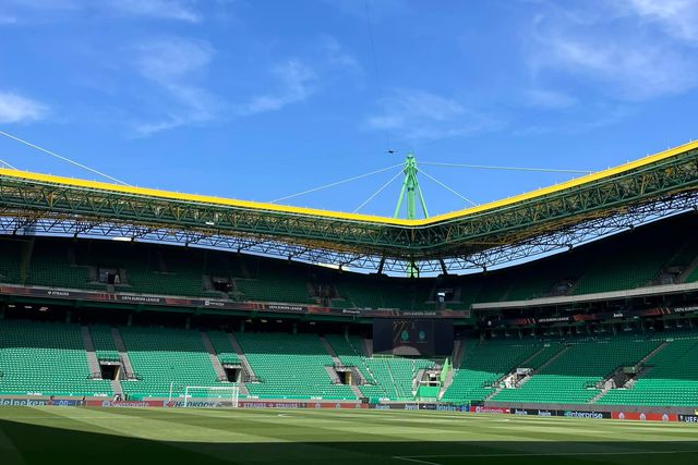 Como reagirá um leão ferido?