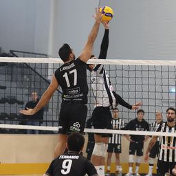Três quilómetros para uma luta entre Tigres e Mochos