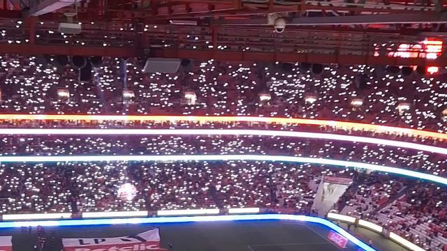 O Estádio da Luz transformou-se numa árvore de Natal gigante