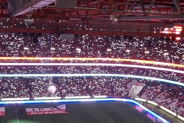 O Estádio da Luz transformou-se numa árvore de Natal gigante