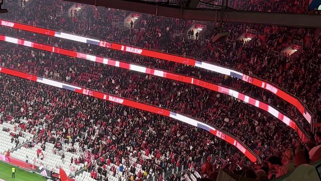 Festejos do golo do Benfica