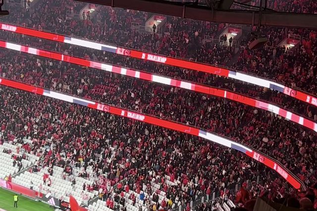 Festejos do golo do Benfica