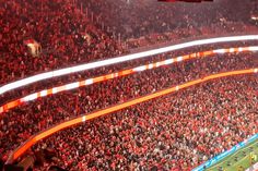 E a Luz acreditou! A festa dos benfiquistas no golo de Schjelderup