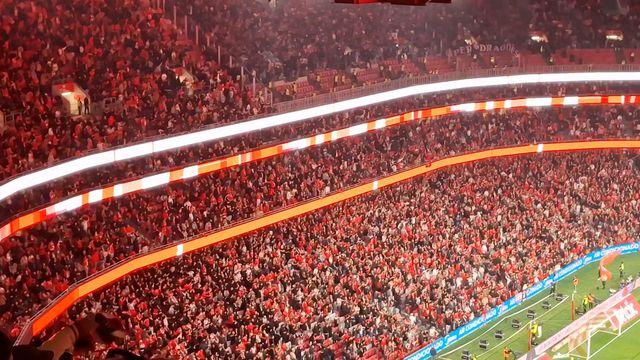 E a Luz acreditou! A festa dos benfiquistas no golo de Schjelderup