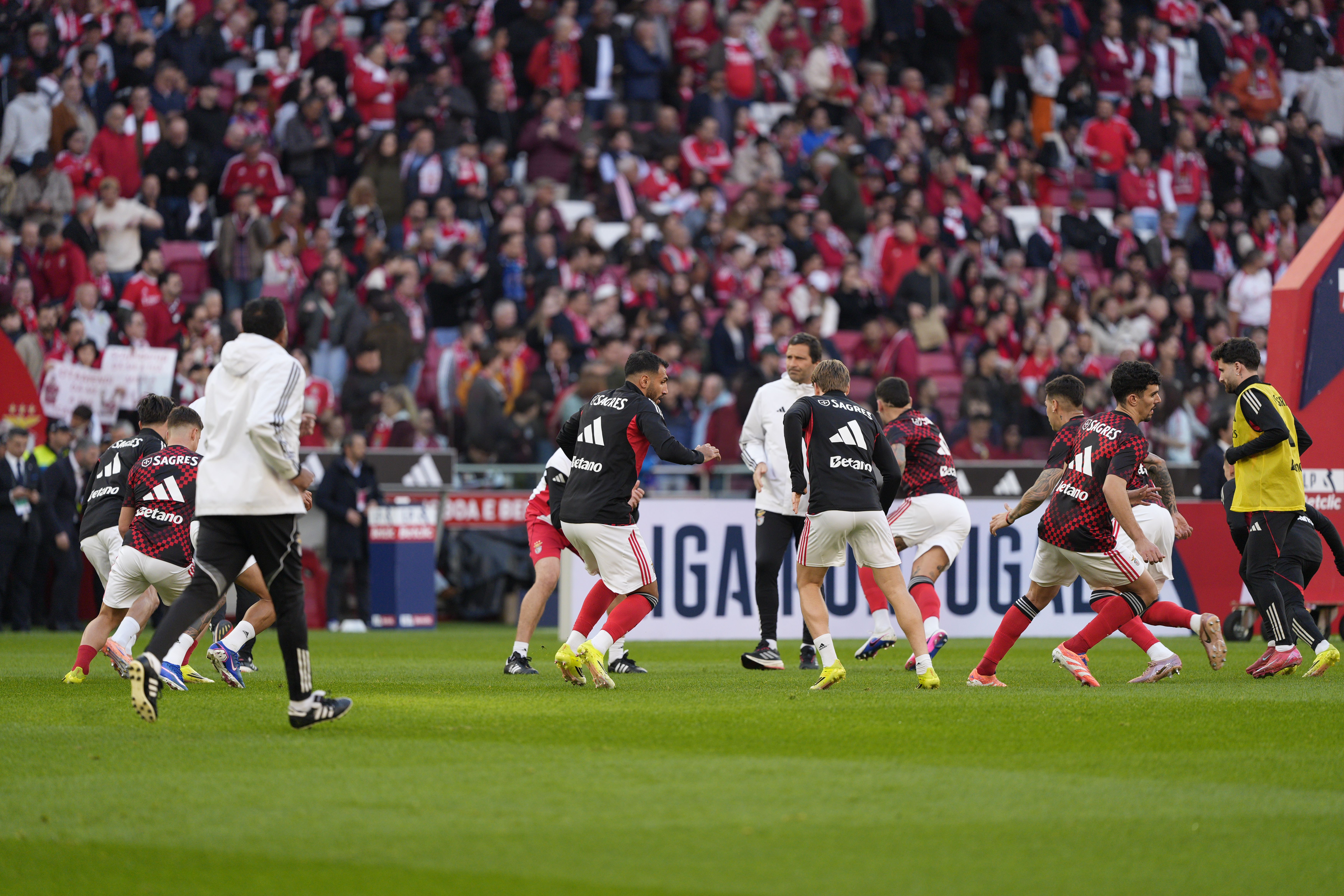 Foto: Catarina Morais/KAPTA +