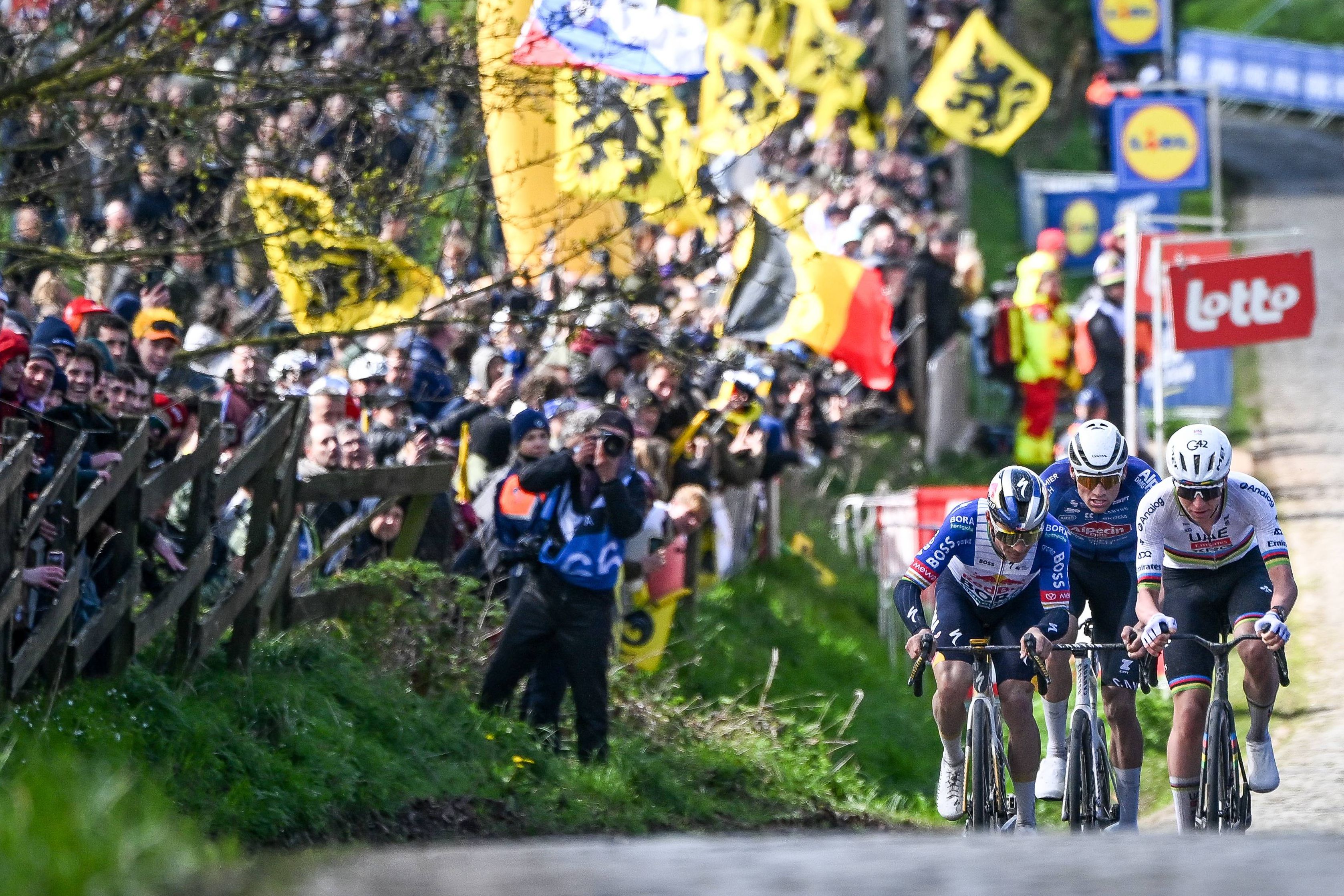 Para não perderam Pogacar de vista, 53 ciclistas passaram sinal vermelho. IMAGO