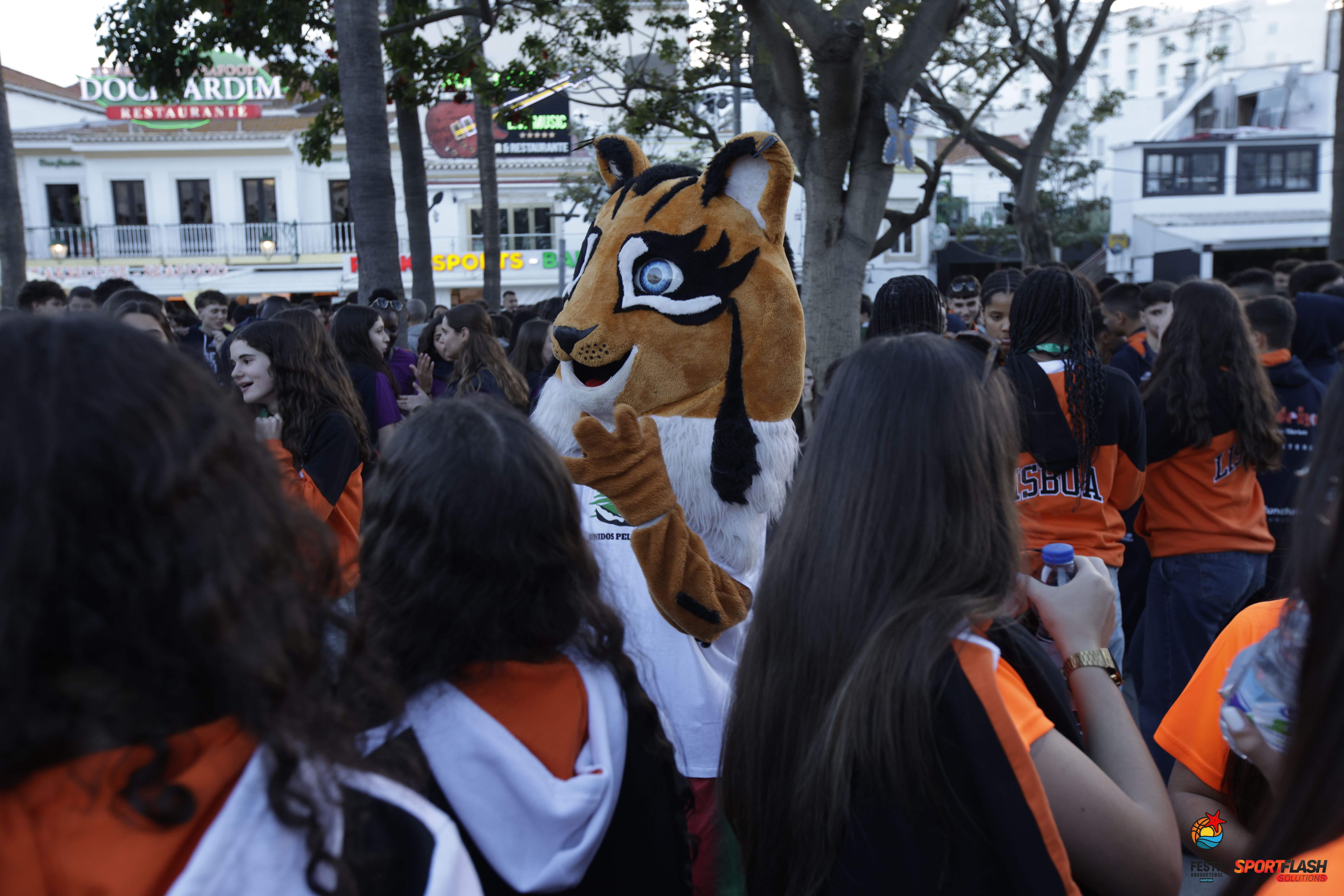 Festa do Basquetebol 2026    Fotografia FPB