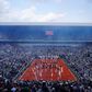 Espetáculo pré-final de Roland Garros (foto: IMAGO)