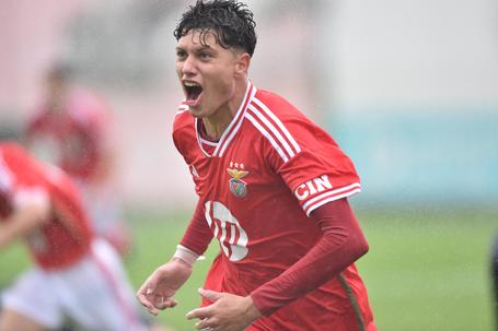 Rafael Luís