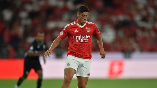 Benfica: Anderlecht quer Tiago Gouveia