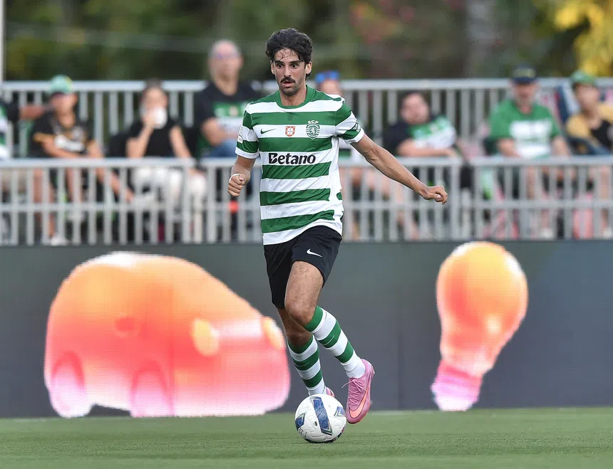 Leões famintos! Sporting ruge em 2025