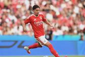 Ivanovic perto de deixar o Benfica - Foto: Miguel Nunes
