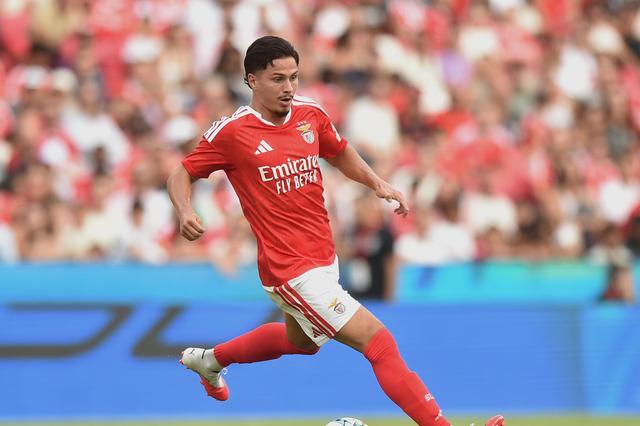 Ivanovic perto de deixar o Benfica - Foto: Miguel Nunes