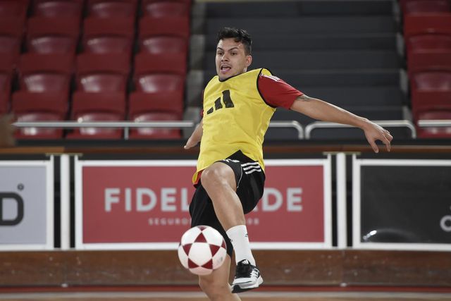 Benfica: Rocha falha arranque de campeonato e compromissos da seleção brasileira