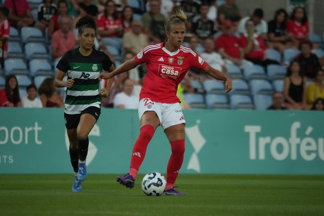 Champions: Benfica favorito no ‘caminho’ dos campeões, Sporting último no das ligas