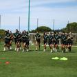 Leoas cumpriram mais uma unidade de treino na Academia de Alcochete - Foto: Sporting CP