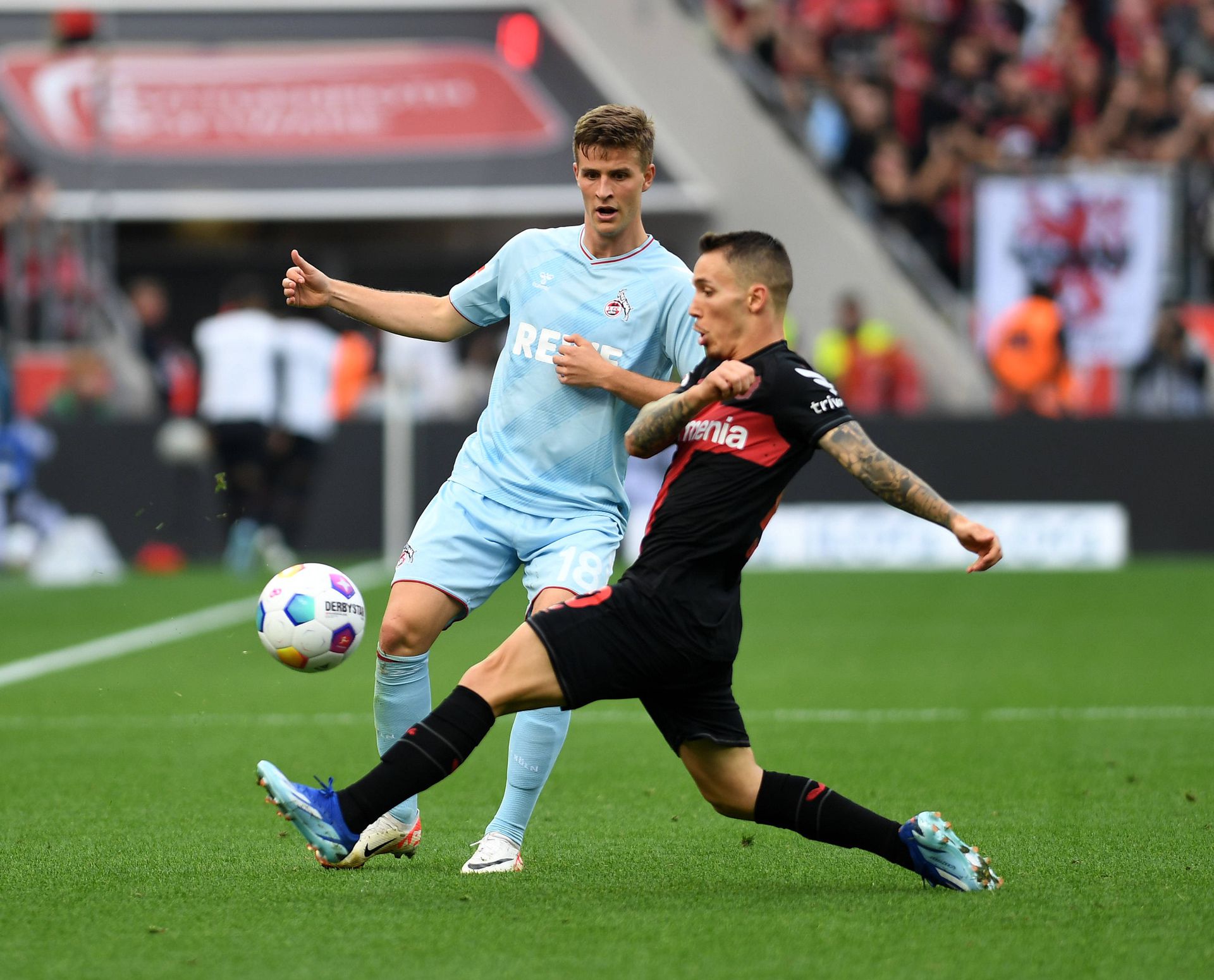 Bis de Grimaldo frente ao Hoffenheim mantém Leverkusen na liderança isolada  da Bundesliga - Bayer Leverkusen - Jornal Record