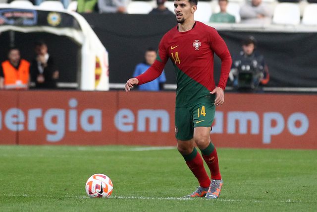 «Para além da qualidade, Tomás Araújo estava ali à mão»