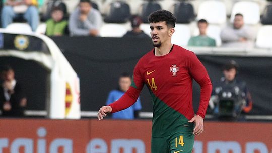 «Para além da qualidade, Tomás Araújo estava ali à mão»