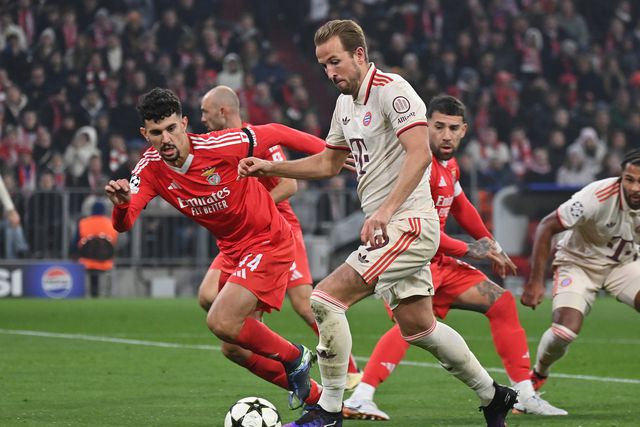 «Jogar pelo seguro» e a «melhor solução» - razões que colocam Tomás Araújo de prevenção