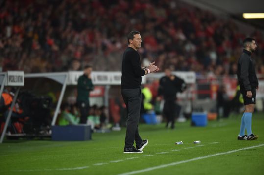 Roger Schmidt: «Substituições? Temos de correr riscos»