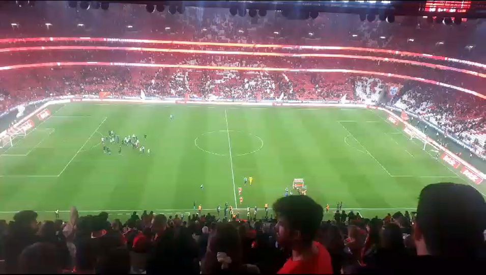Assobios e lenços brancos para Roger Schmidt no final do Benfica-Farense