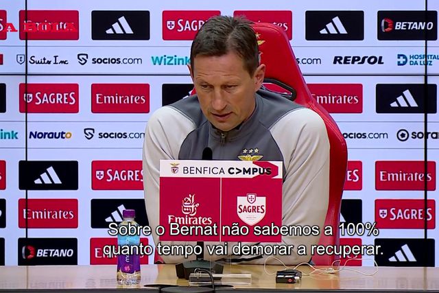 Schmidt revela tempos de recuperação dos lesionados