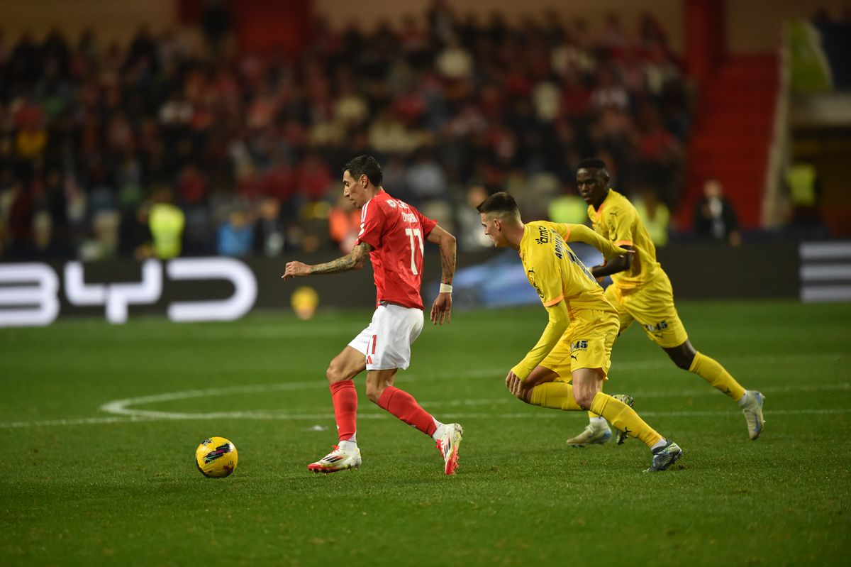 Taça da Liga: 13 adeptos identificados no Benfica-SC Braga